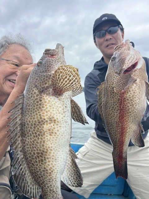 オオモンハタ