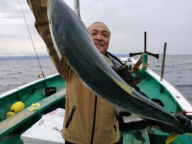 ブリ