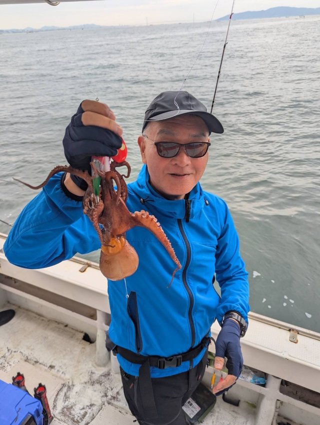 マダコ
