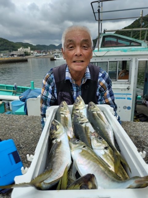 アジ(マアジ)
