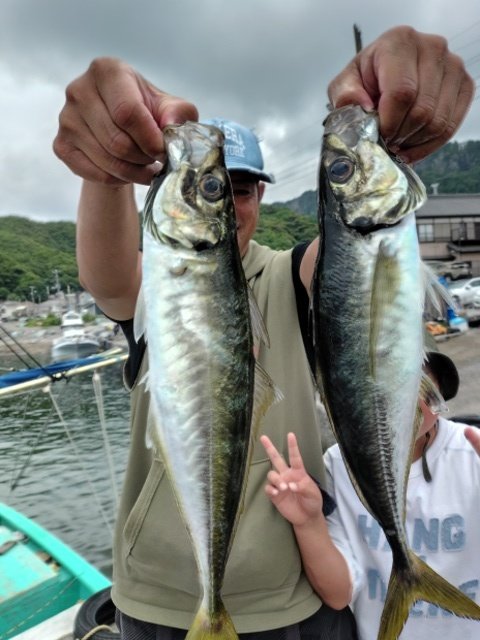 アジ(マアジ)