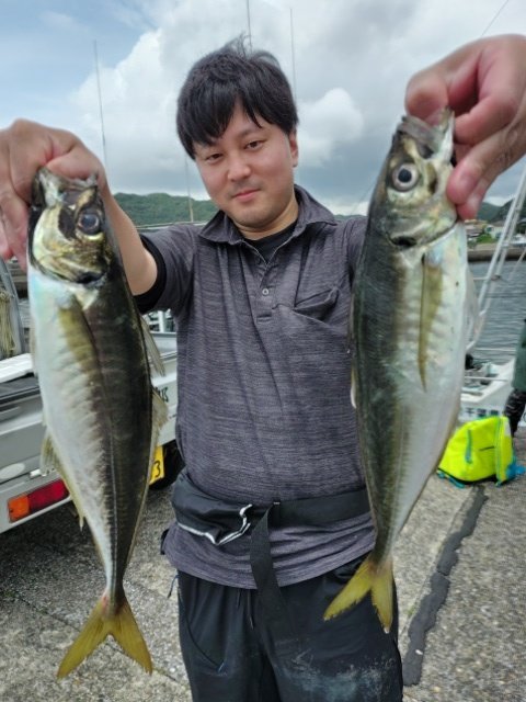 アジ(マアジ)
