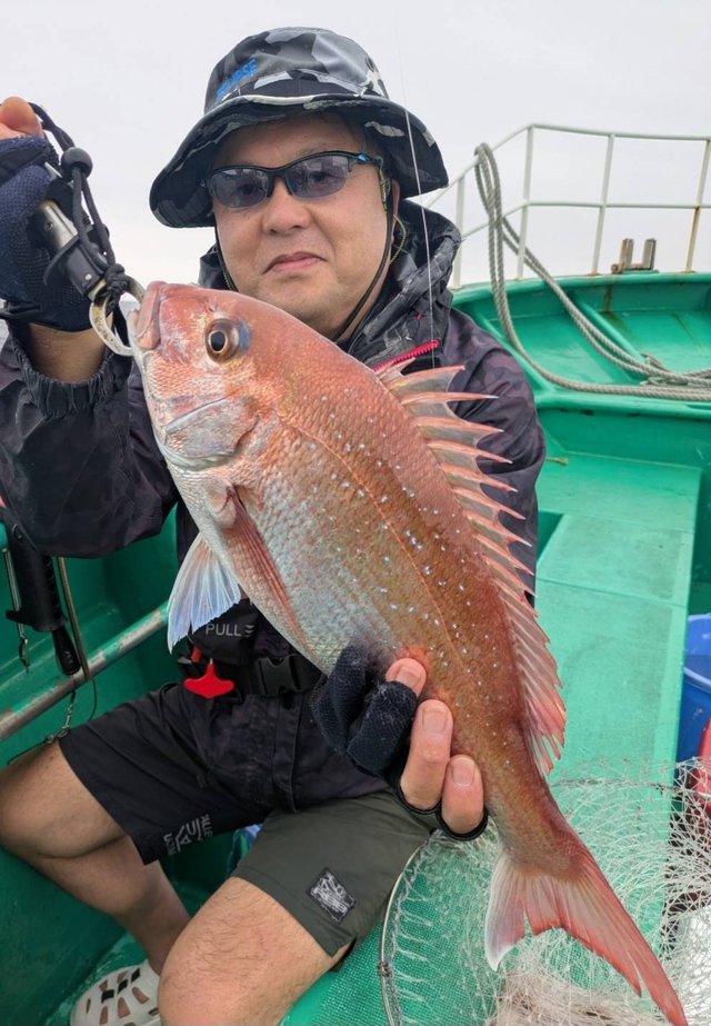 マダイ