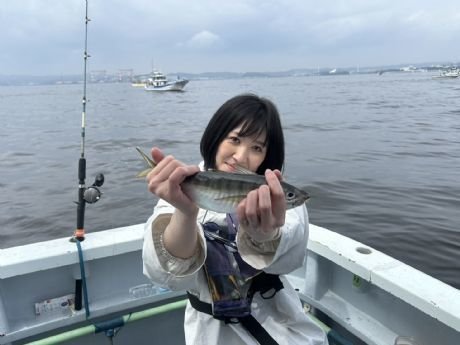 東京湾（神奈川県）で釣れたマアジの最新釣果、釣り情報【2026年7月】