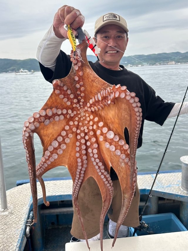 タコ(マダコ)
