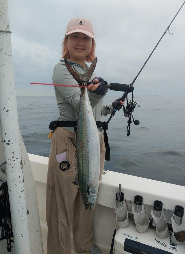 サワラ