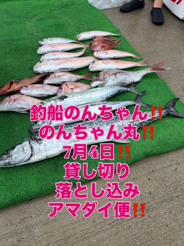 シロアマダイ・サワラ