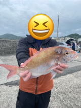 マダイ