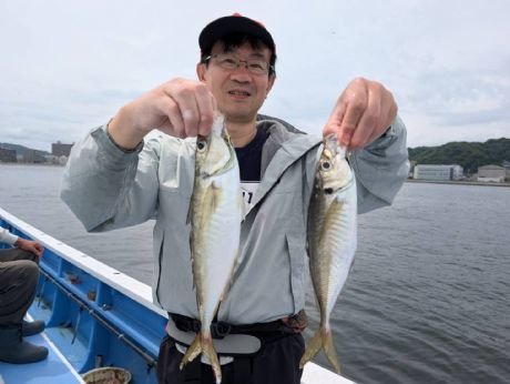 アジ(マアジ)