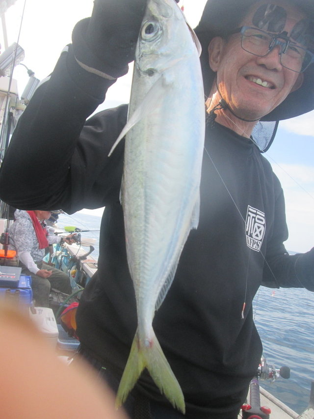 アジ(マアジ)