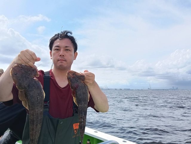 マゴチ