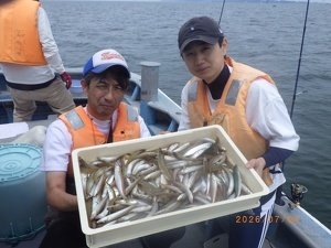 シロギス