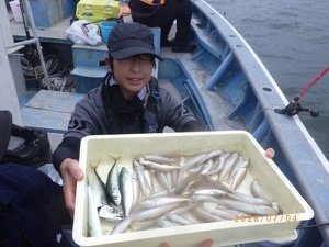シロギス