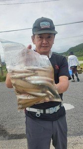 シロギス