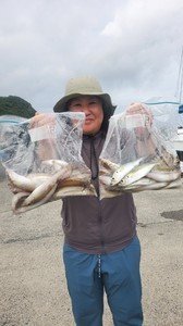 シロギス