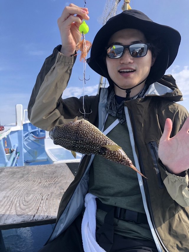 ショウサイフグ