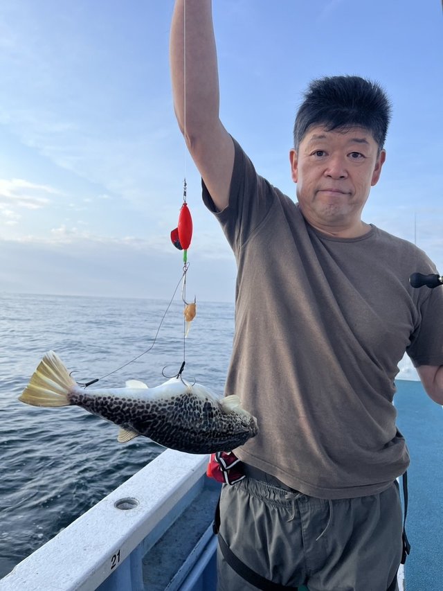 ショウサイフグ