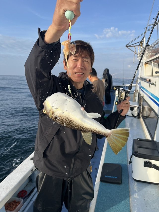 ショウサイフグ