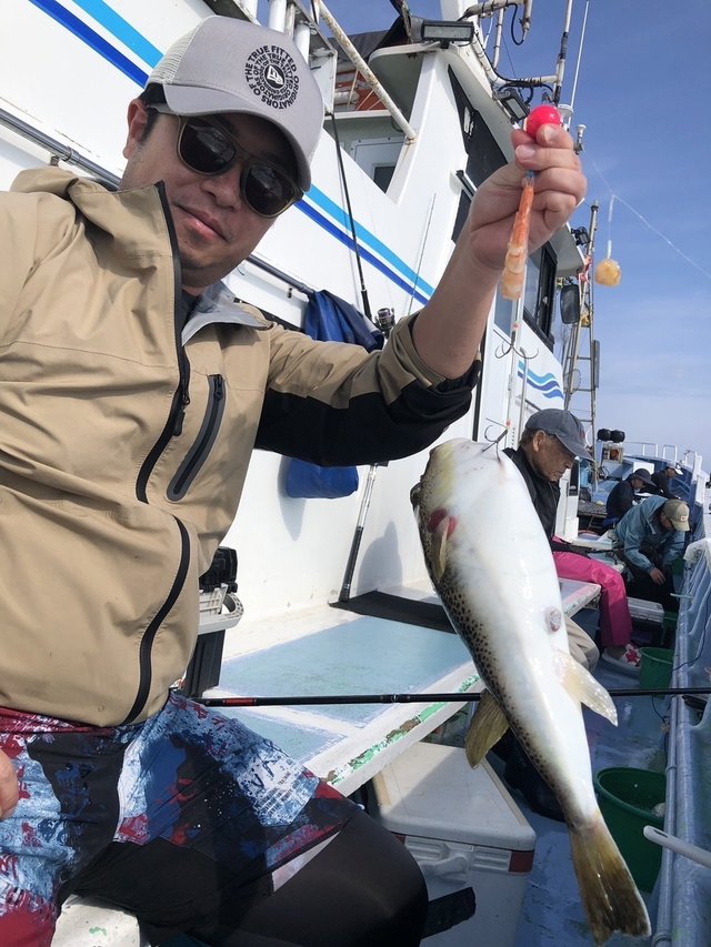 ショウサイフグ