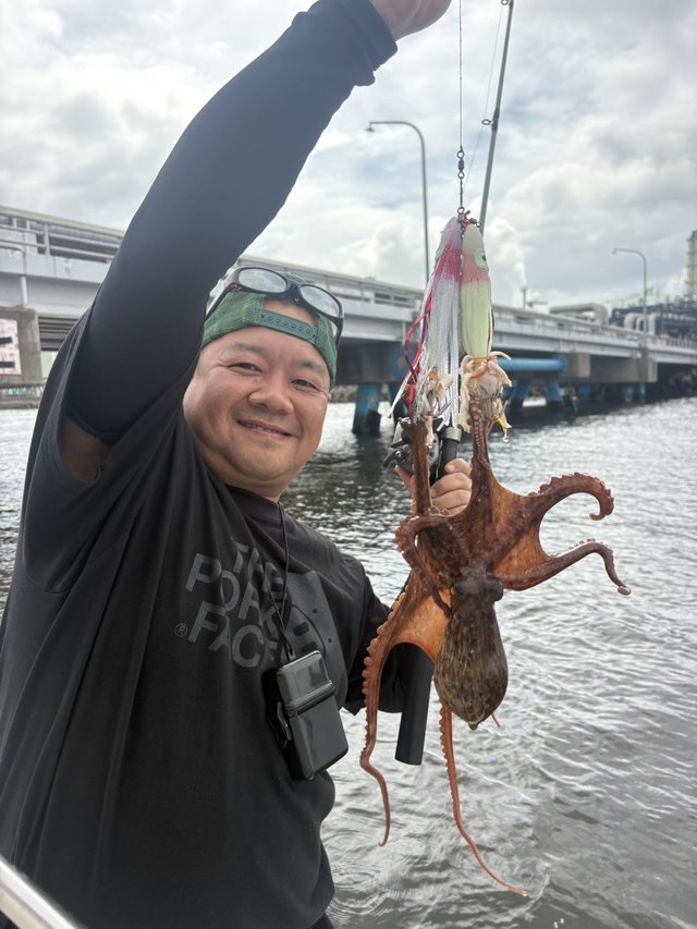マダコ