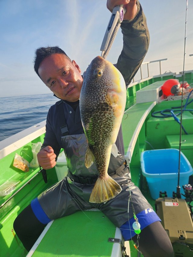 ショウサイフグ