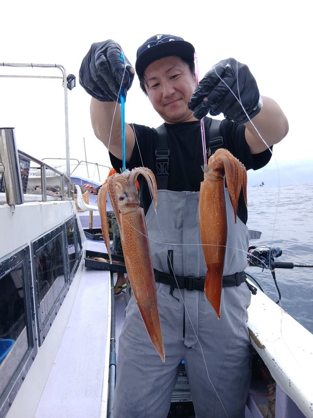 スルメイカ