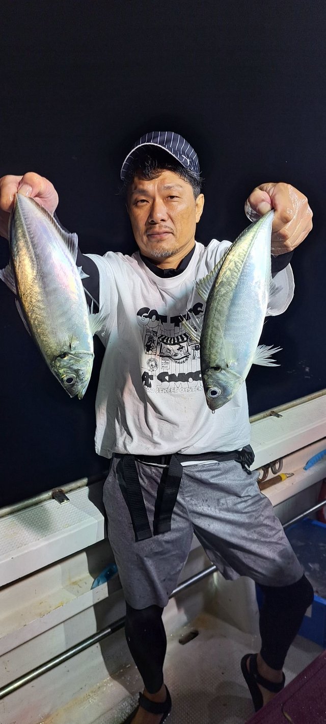 マアジ