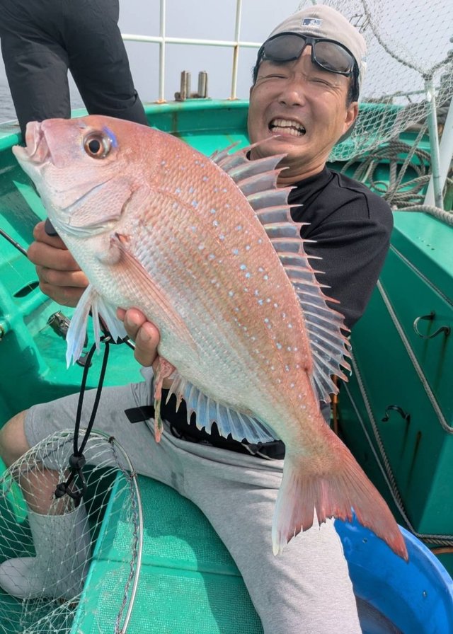 マダイ