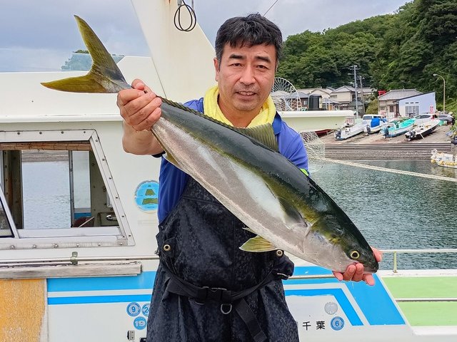 ワラサ(ブリ)