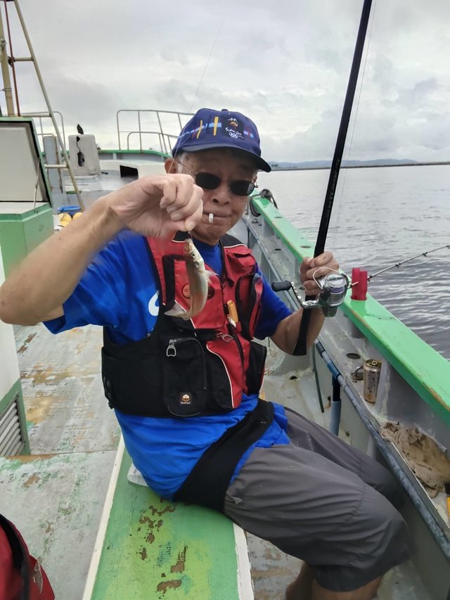 シロギス