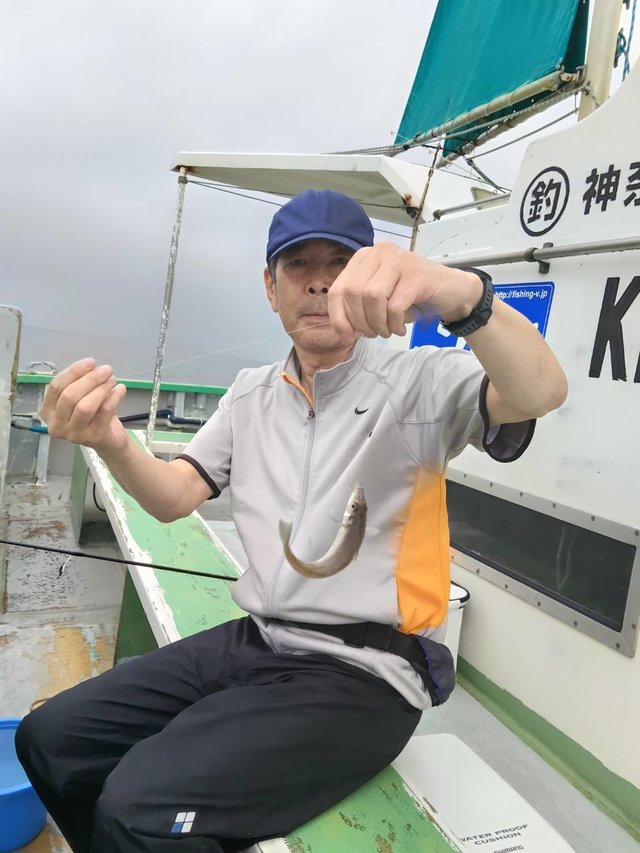 シロギス