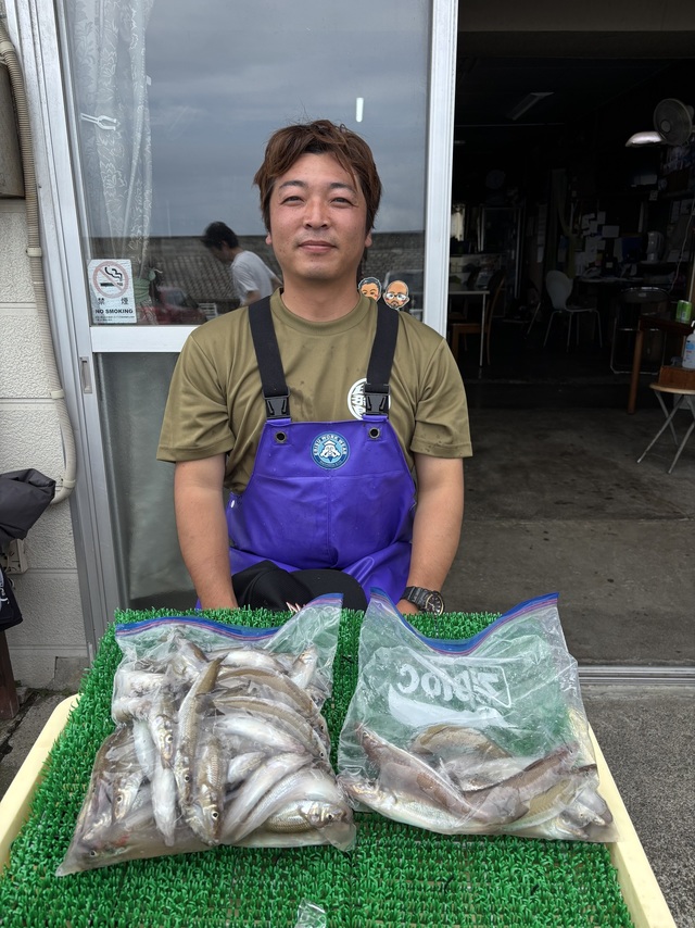 シロギス