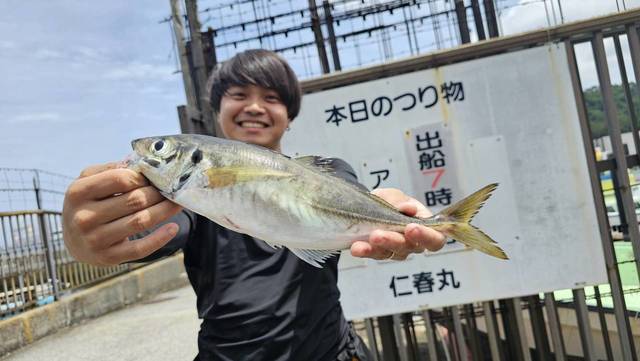アジ(マアジ)