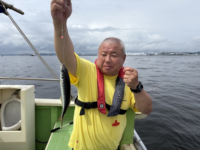 アジ(マアジ)