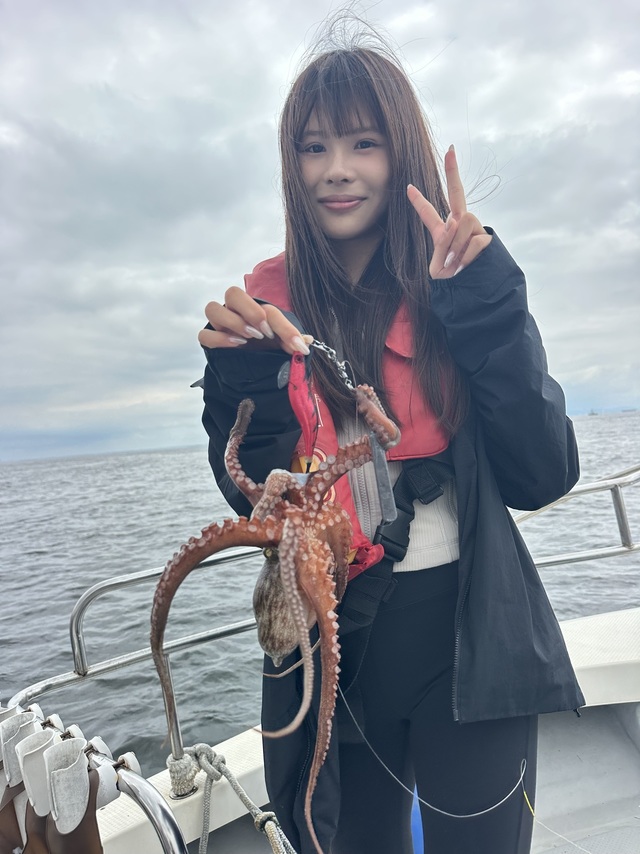 マダコ