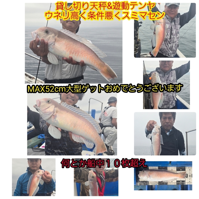 シロアマダイ