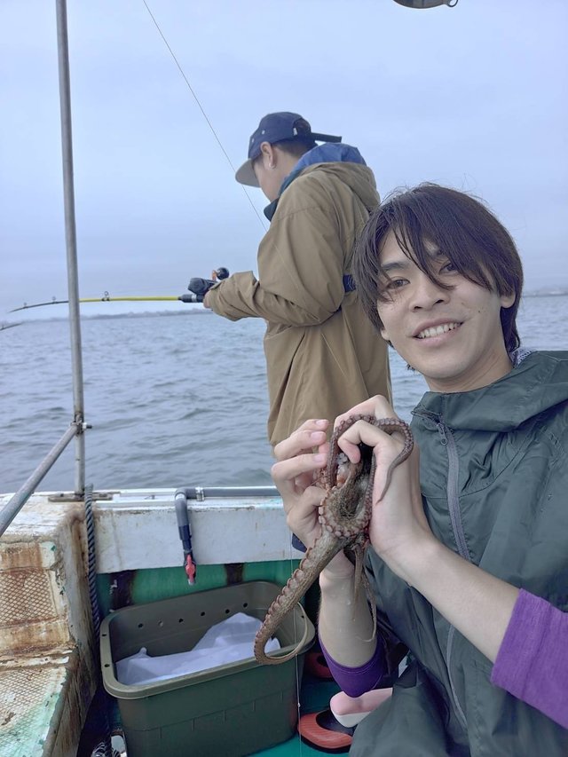 マダコ