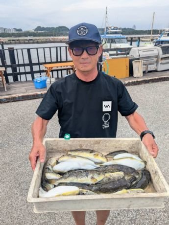ショウサイフグ