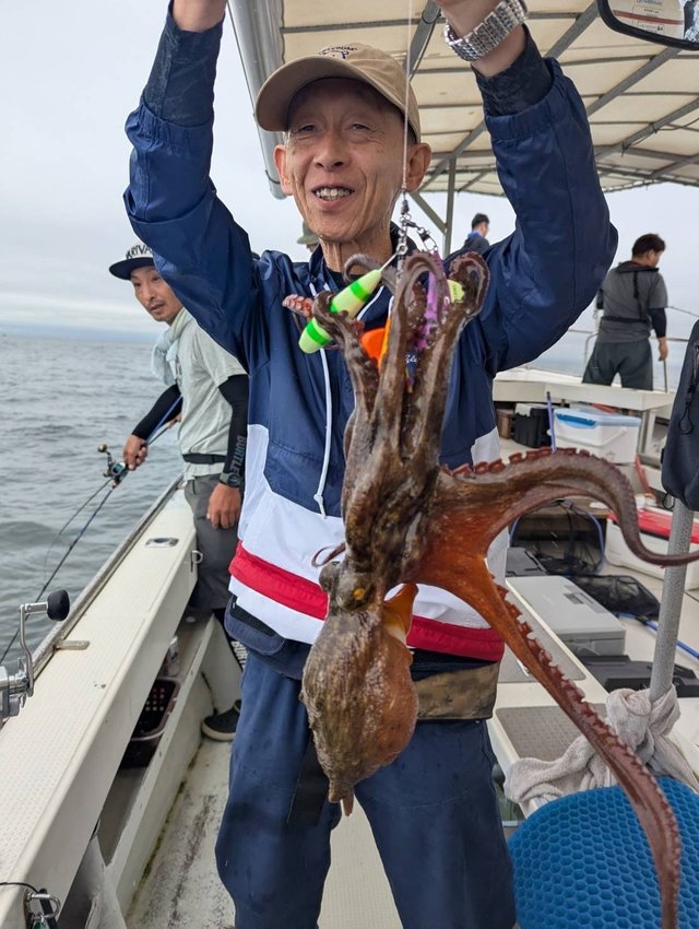 マダコ
