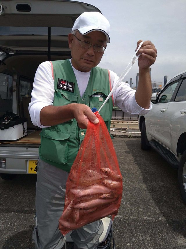 シロギス