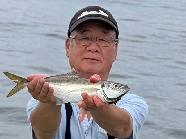 アジ(マアジ)