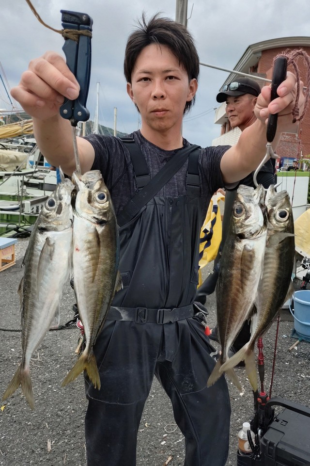アジ(マアジ)