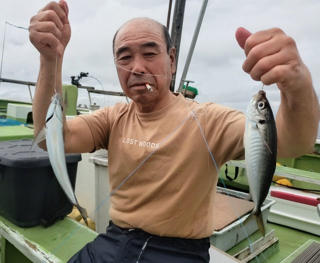 アジ(マアジ)