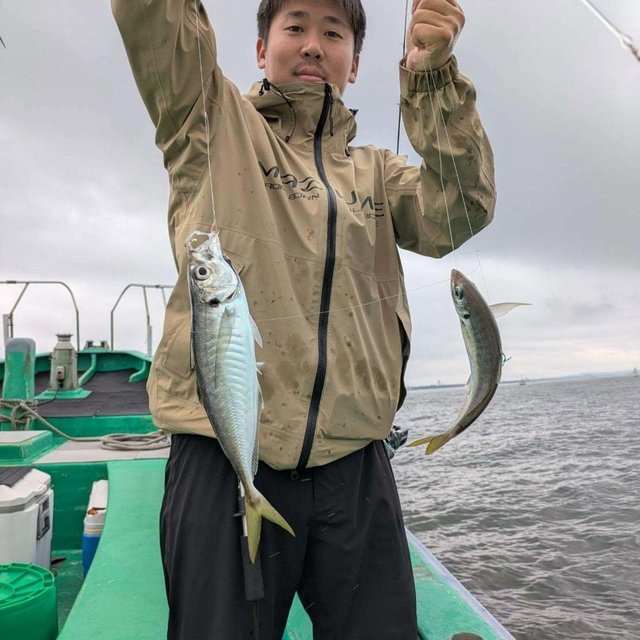 アジ(マアジ)