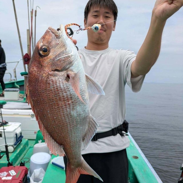 マダイ