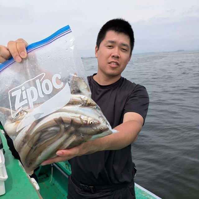 シロギス