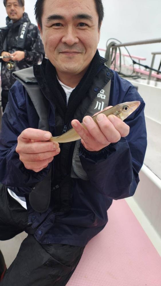 シロギス