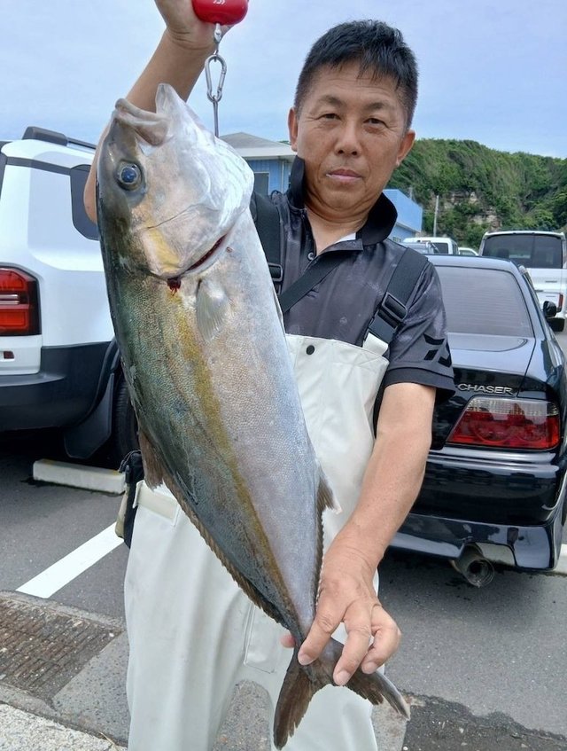 カンパチ