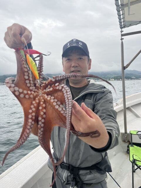 タコ(マダコ)