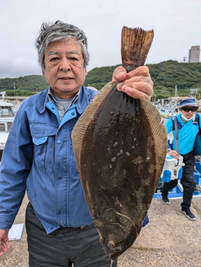 ヒラメ
